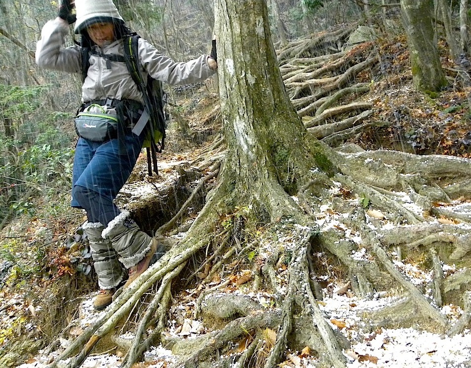 御在所岳〜国見岳　11月14日（水）_c0078410_1013335.jpg