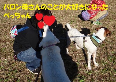 茶々くんに妹ができました♪♪_f0121712_5382087.jpg