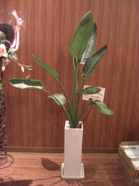 f0226713_0503766.jpg