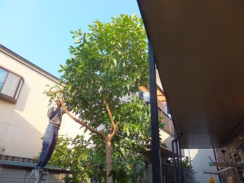a0114314_15173066.jpg