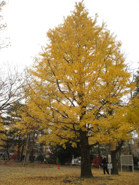 c0165914_14515469.jpg
