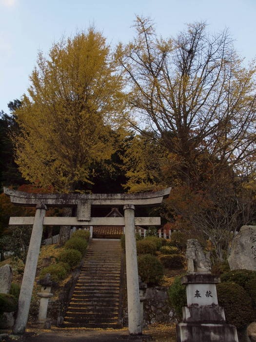 客人神社のイチョウの葉っぱ散る_c0116915_0153388.jpg