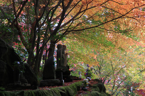 小岱山観音寺_b0037717_16511533.jpg