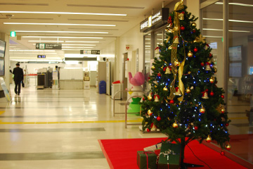 b0259218_2233117.jpg
