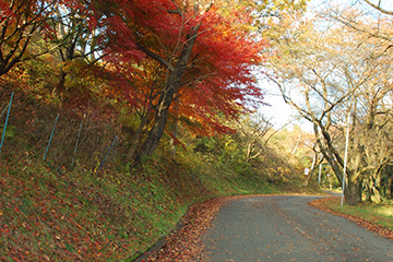 b0259218_223957.jpg