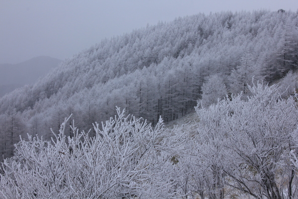 e0242721_7113648.jpg