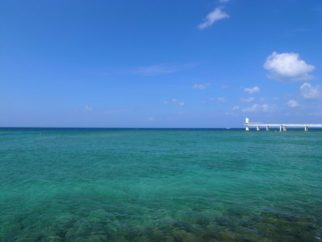 沖縄旅行記（１７）ブセナ海中公園　グジラの船で海中散歩_f0209122_175148.jpg