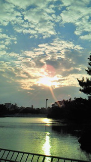 b0170623_9331415.jpg