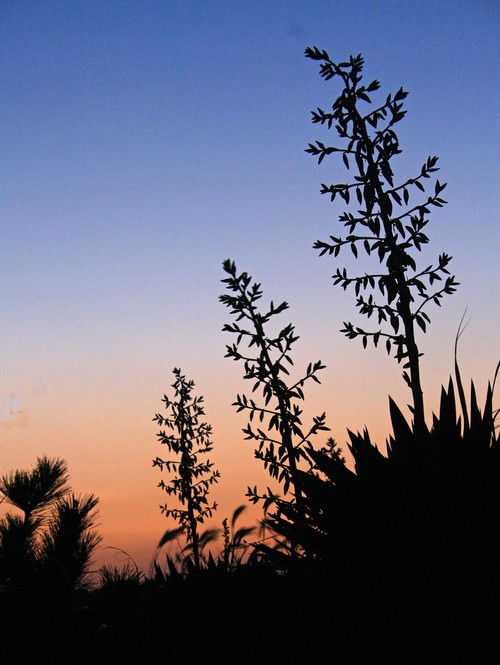 c0104227_2313019.jpg
