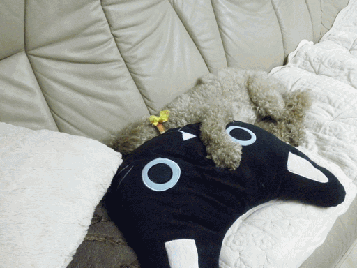 c0136736_19262477.gif