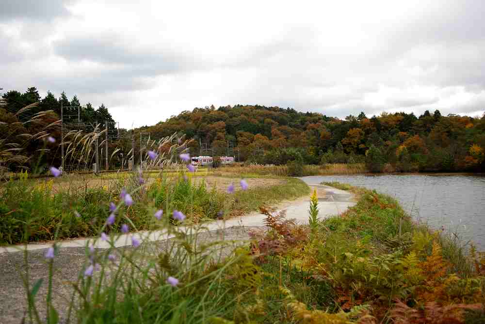 d0226336_23405369.jpg