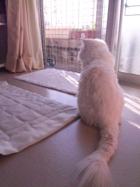 １５日_d0152937_201011100.jpg