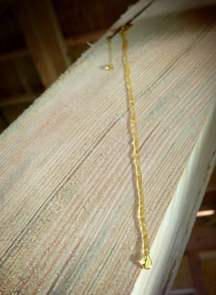 f0084138_02515.jpg
