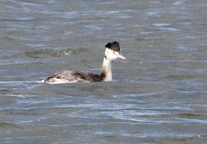 c0172139_071134.jpg