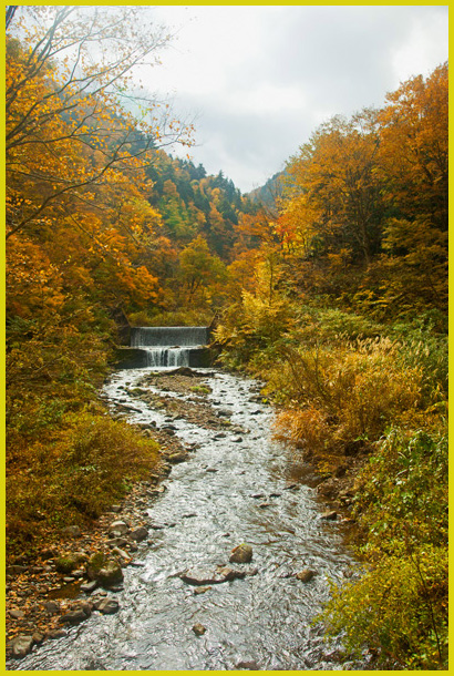 坂内村、坂内川の紅葉　Ⅱ_e0206039_1604376.jpg