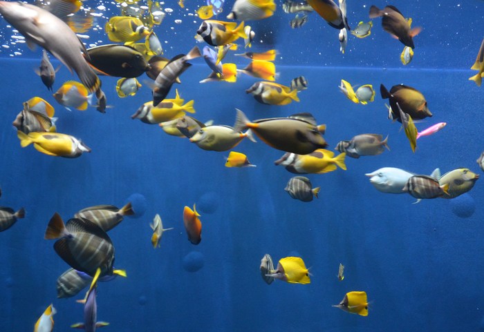 c0202242_1185498.jpg