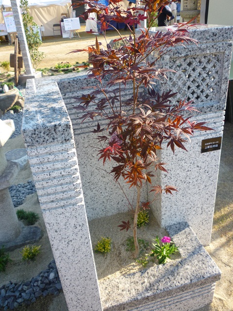 e0118846_19514166.jpg