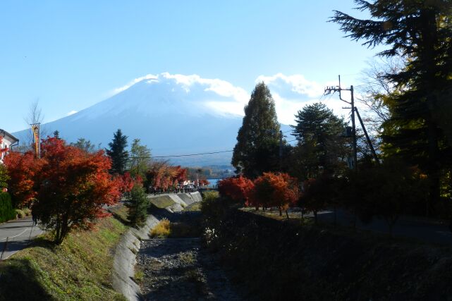 河口湖もみじ回廊~2012.11.14_e0043548_22173071.jpg