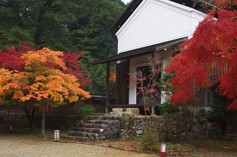 鮮やかな、秋。(神護寺・石段~本堂編)_f0155048_23313849.jpg