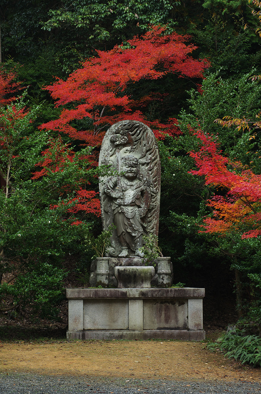 鮮やかな、秋。(神護寺・石段~本堂編)_f0155048_23364235.jpg