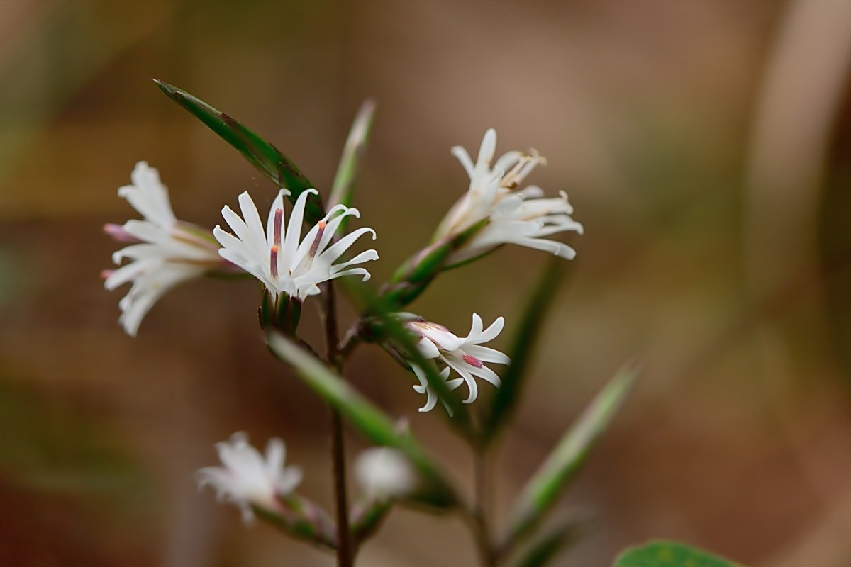 f0224648_97397.jpg