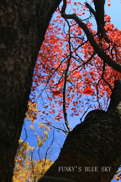 c0145250_16271550.jpg