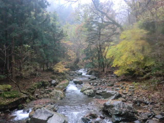 赤西渓谷_b0227552_14375414.jpg