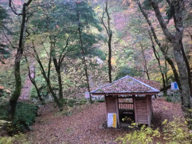 赤西渓谷_b0227552_1437742.jpg