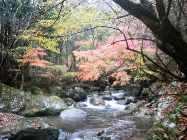 赤西渓谷_b0227552_14383467.jpg
