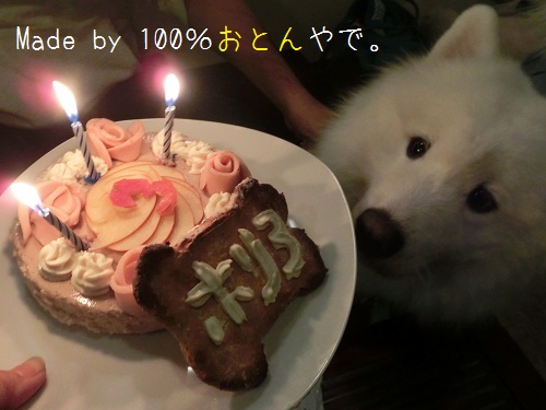 5日遅れのＢｉｒｔｈｄａｙぱーちー_a0166954_23491246.jpg