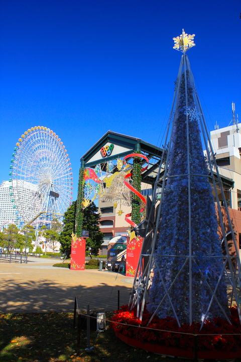 a0248459_19253458.jpg