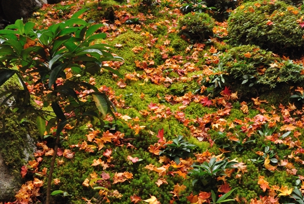 a0277866_1194227.jpg