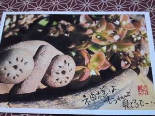 届いたよ♪沖縄からの風景印_e0136066_1737375.jpg