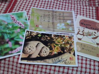届いたよ♪沖縄からの風景印_e0136066_17373775.jpg