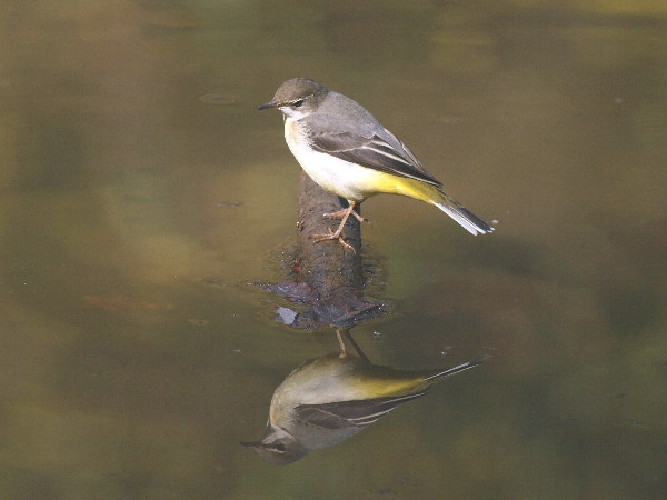 f0208666_9514071.jpg