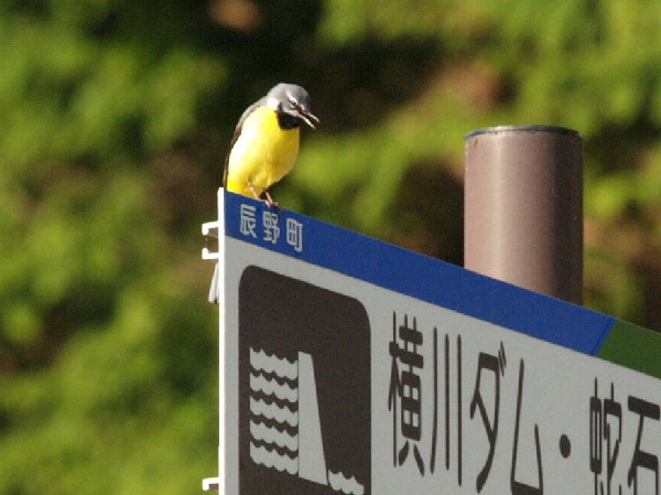 f0208666_9541097.jpg