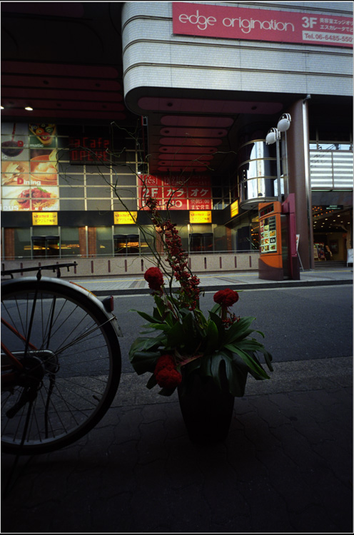 c0168172_1954699.jpg