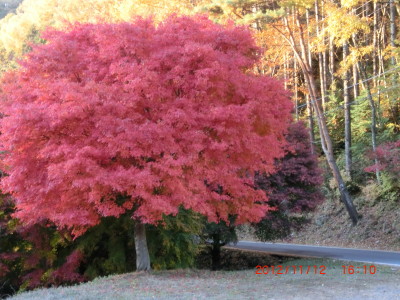 ２０１２　紅葉の旅　そのさん_b0193480_1285321.jpg