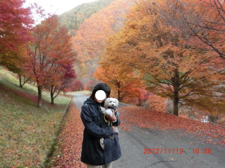 ２０１２　紅葉の旅　そのさん_b0193480_1294673.jpg