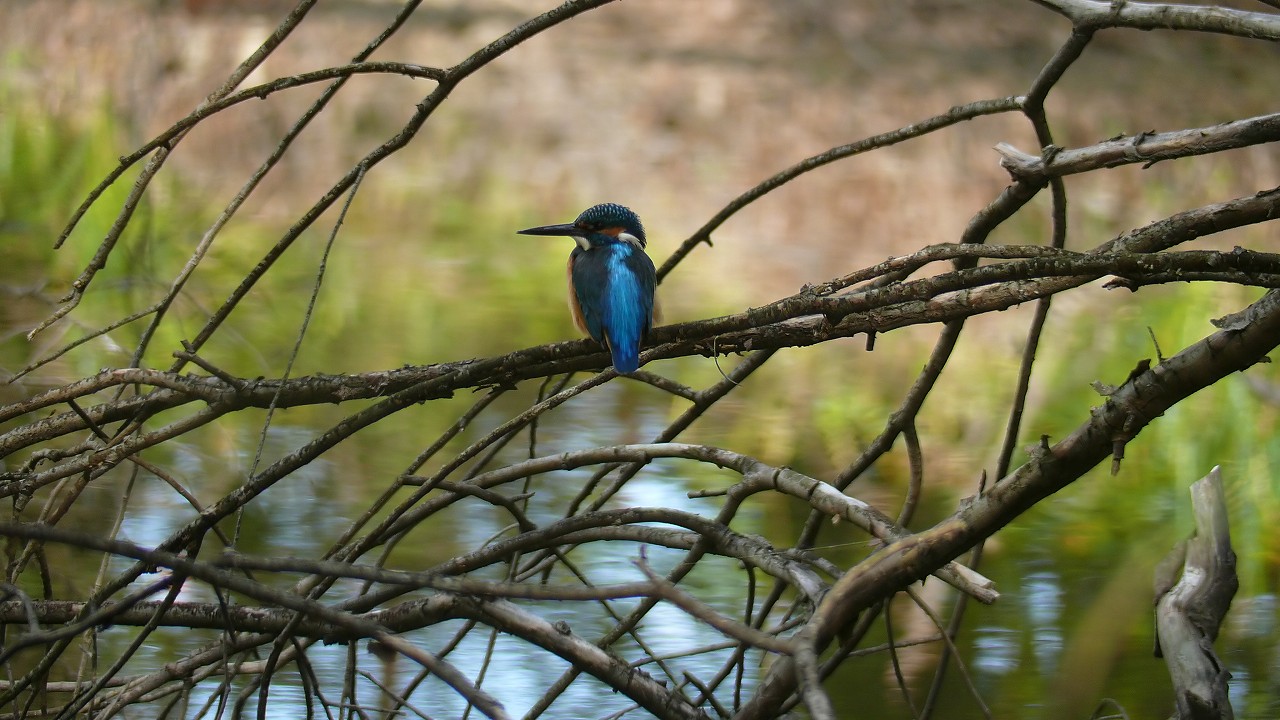 a0185081_17283370.jpg