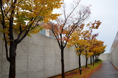 c0229483_21212610.jpg