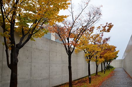 狭山池の紅葉_c0229483_21212610.jpg