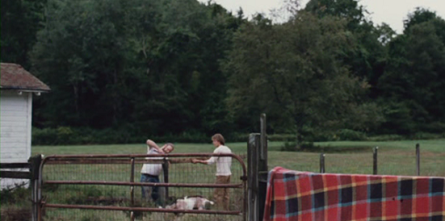d0098286_8345592.png