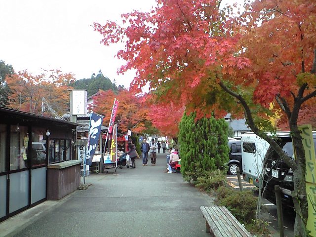 e0206796_11344069.jpg