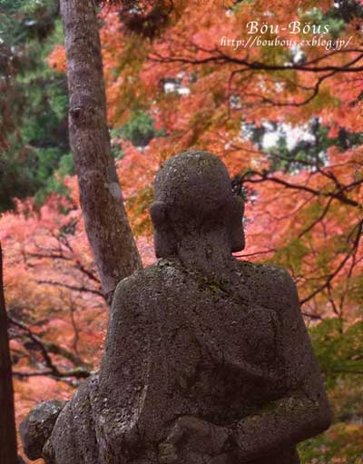 素晴らしかった箱根・長安寺_d0128697_2211333.jpg