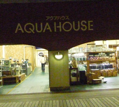 d0180499_2151102.jpg