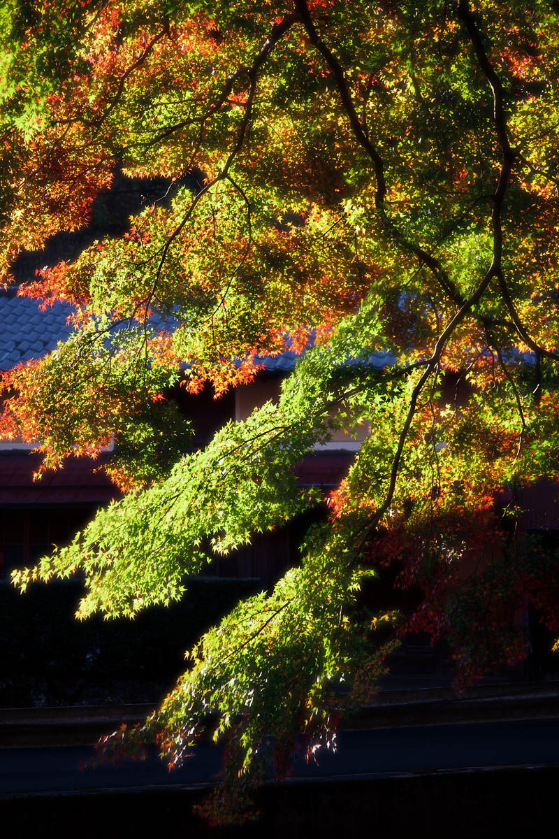 d0200900_2494661.jpg