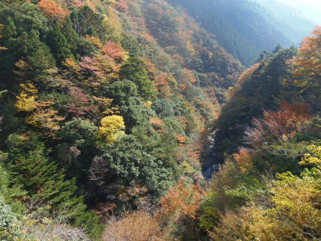 c0125501_9232342.jpg