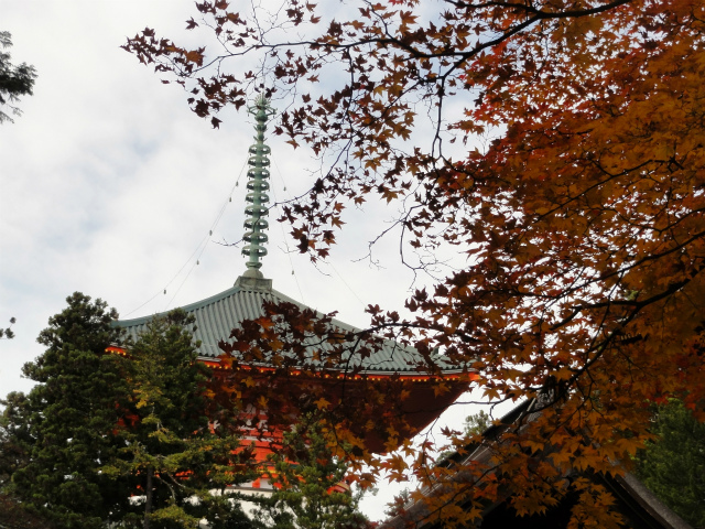 c0125501_943317.jpg