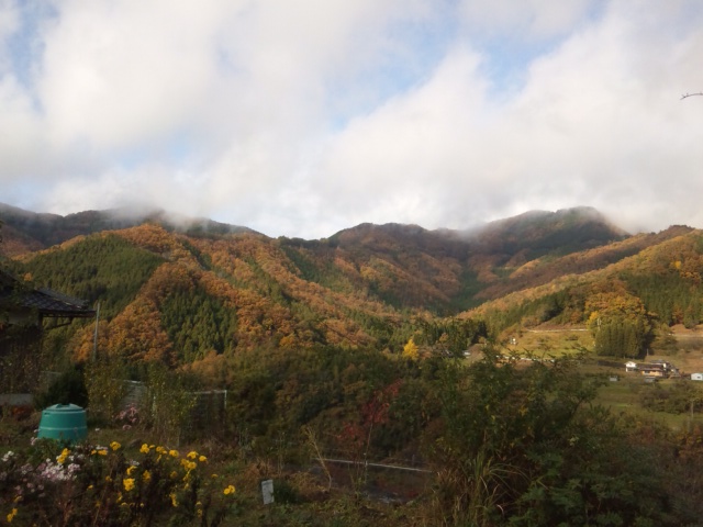 e0252905_2433388.jpg